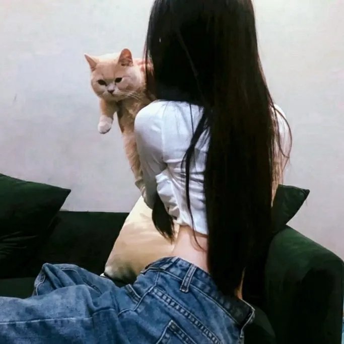 虹猫蓝兔七侠外传 跳跳篇