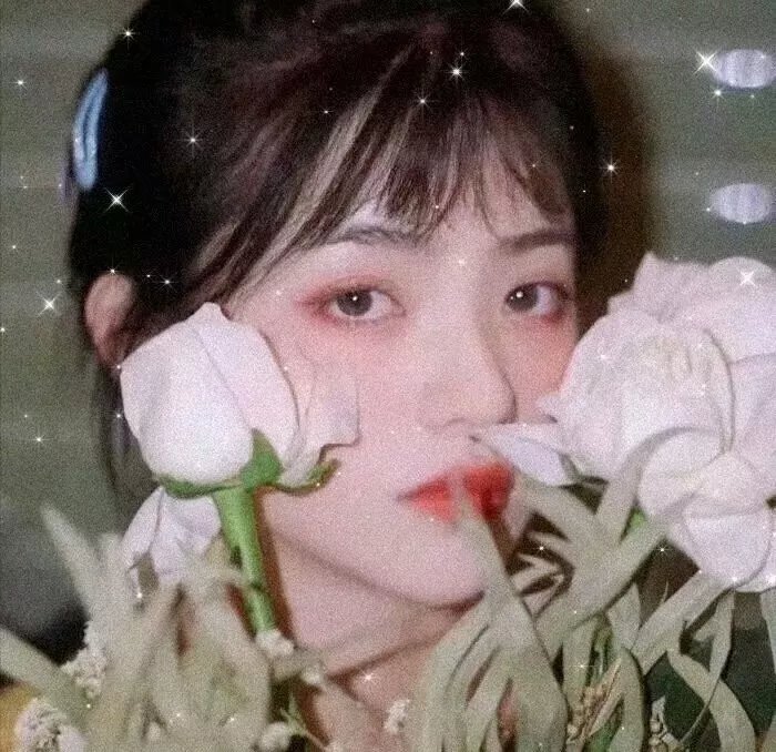 暹罗诅咒