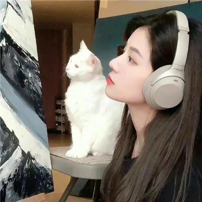 枭雄荡娃